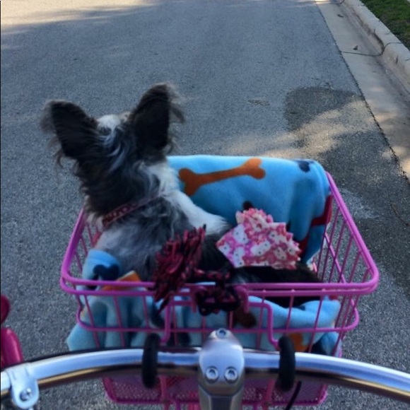 I give free shares for ♥️ - Picture 3 of 9